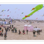 Les Rencontres Internationales de Cerfs-Volants 2018 à Berck-sur-mer -  RICV 2018