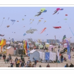 Les Rencontres Internationales de Cerfs-Volants 2018 à Berck-sur-mer -  RICV 2018