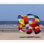 Rencontres Internationnales de Cerfs-Volants 2018 à Berck-sur-mer