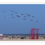 Rencontres Internationnales de Cerfs-Volants 2018 à Berck-sur-mer