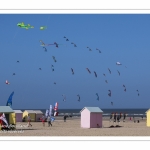 Rencontres Internationnales de Cerfs-Volants 2018 à Berck-sur-mer