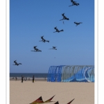 Rencontres Internationnales de Cerfs-Volants 2018 à Berck-sur-mer