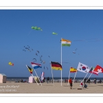 Rencontres Internationnales de Cerfs-Volants 2018 à Berck-sur-mer