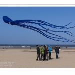 Rencontres Internationnales de Cerfs-Volants 2018 à Berck-sur-mer