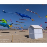 Rencontres Internationnales de Cerfs-Volants 2018 à Berck-sur-mer