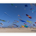 Rencontres Internationnales de Cerfs-Volants 2018 à Berck-sur-mer