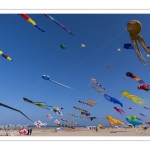 Rencontres Internationnales de Cerfs-Volants 2018 à Berck-sur-mer