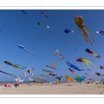 Rencontres Internationnales de Cerfs-Volants 2018 à Berck-sur-mer