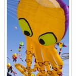 Rencontres Internationnales de Cerfs-Volants 2018 à Berck-sur-mer