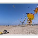 Rencontres Internationnales de Cerfs-Volants 2018 à Berck-sur-mer