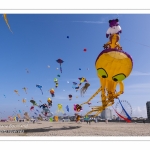 Rencontres Internationnales de Cerfs-Volants 2018 à Berck-sur-mer