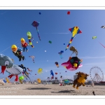 Rencontres Internationnales de Cerfs-Volants 2018 à Berck-sur-mer