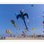 Rencontres Internationnales de Cerfs-Volants 2018 à Berck-sur-mer