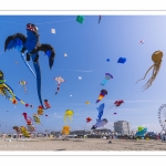 Rencontres Internationnales de Cerfs-Volants 2018 à Berck-sur-mer