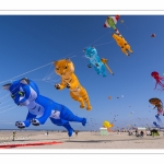 Rencontres Internationnales de Cerfs-Volants 2018 à Berck-sur-mer