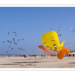 Rencontres Internationnales de Cerfs-Volants 2018 à Berck-sur-mer