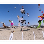 Rencontres Internationnales de Cerfs-Volants 2018 à Berck-sur-mer