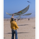 Rencontres Internationnales de Cerfs-Volants 2018 à Berck-sur-mer