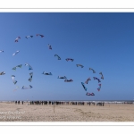 Rencontres Internationnales de Cerfs-Volants 2018 à Berck-sur-mer