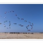 Rencontres Internationnales de Cerfs-Volants 2018 à Berck-sur-mer