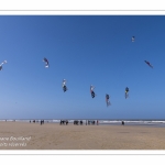 Rencontres Internationnales de Cerfs-Volants 2018 à Berck-sur-mer