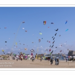 Rencontres Internationnales de Cerfs-Volants 2018 à Berck-sur-mer