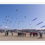 Rencontres Internationnales de Cerfs-Volants 2018 à Berck-sur-mer