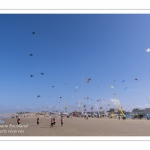 Rencontres Internationnales de Cerfs-Volants 2018 à Berck-sur-mer