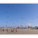 Rencontres Internationnales de Cerfs-Volants 2018 à Berck-sur-mer