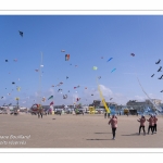 Rencontres Internationnales de Cerfs-Volants 2018 à Berck-sur-mer