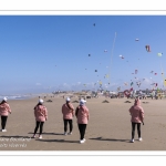 Rencontres Internationnales de Cerfs-Volants 2018 à Berck-sur-mer