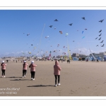 Rencontres Internationnales de Cerfs-Volants 2018 à Berck-sur-mer