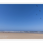 Rencontres Internationnales de Cerfs-Volants 2018 à Berck-sur-mer