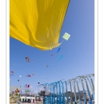 Rencontres Internationnales de Cerfs-Volants 2018 à Berck-sur-mer