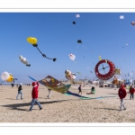 Rencontres Internationnales de Cerfs-Volants 2018 à Berck-sur-mer