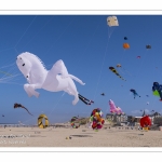 Rencontres Internationnales de Cerfs-Volants 2018 à Berck-sur-mer