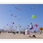 Rencontres Internationnales de Cerfs-Volants 2018 à Berck-sur-mer