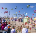 Rencontres Internationnales de Cerfs-Volants 2018 à Berck-sur-mer