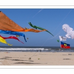 Rencontres Internationnales de Cerfs-Volants 2018 à Berck-sur-mer