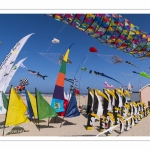 Rencontres Internationnales de Cerfs-Volants 2018 à Berck-sur-mer