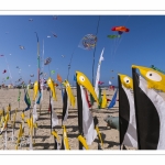 Rencontres Internationnales de Cerfs-Volants 2018 à Berck-sur-mer