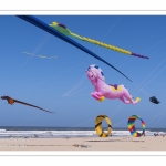 Rencontres Internationnales de Cerfs-Volants 2018 à Berck-sur-mer