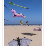 Rencontres Internationnales de Cerfs-Volants 2018 à Berck-sur-mer