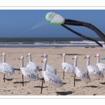 Rencontres Internationnales de Cerfs-Volants 2018 à Berck-sur-mer