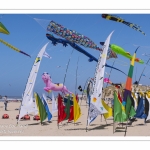 Rencontres Internationnales de Cerfs-Volants 2018 à Berck-sur-mer