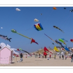 Rencontres Internationnales de Cerfs-Volants 2018 à Berck-sur-mer