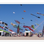 Rencontres Internationnales de Cerfs-Volants 2018 à Berck-sur-mer