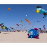 Rencontres Internationnales de Cerfs-Volants 2018 à Berck-sur-mer