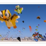 Rencontres Internationnales de Cerfs-Volants 2018 à Berck-sur-mer