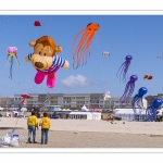 Rencontres Internationnales de Cerfs-Volants 2018 à Berck-sur-mer